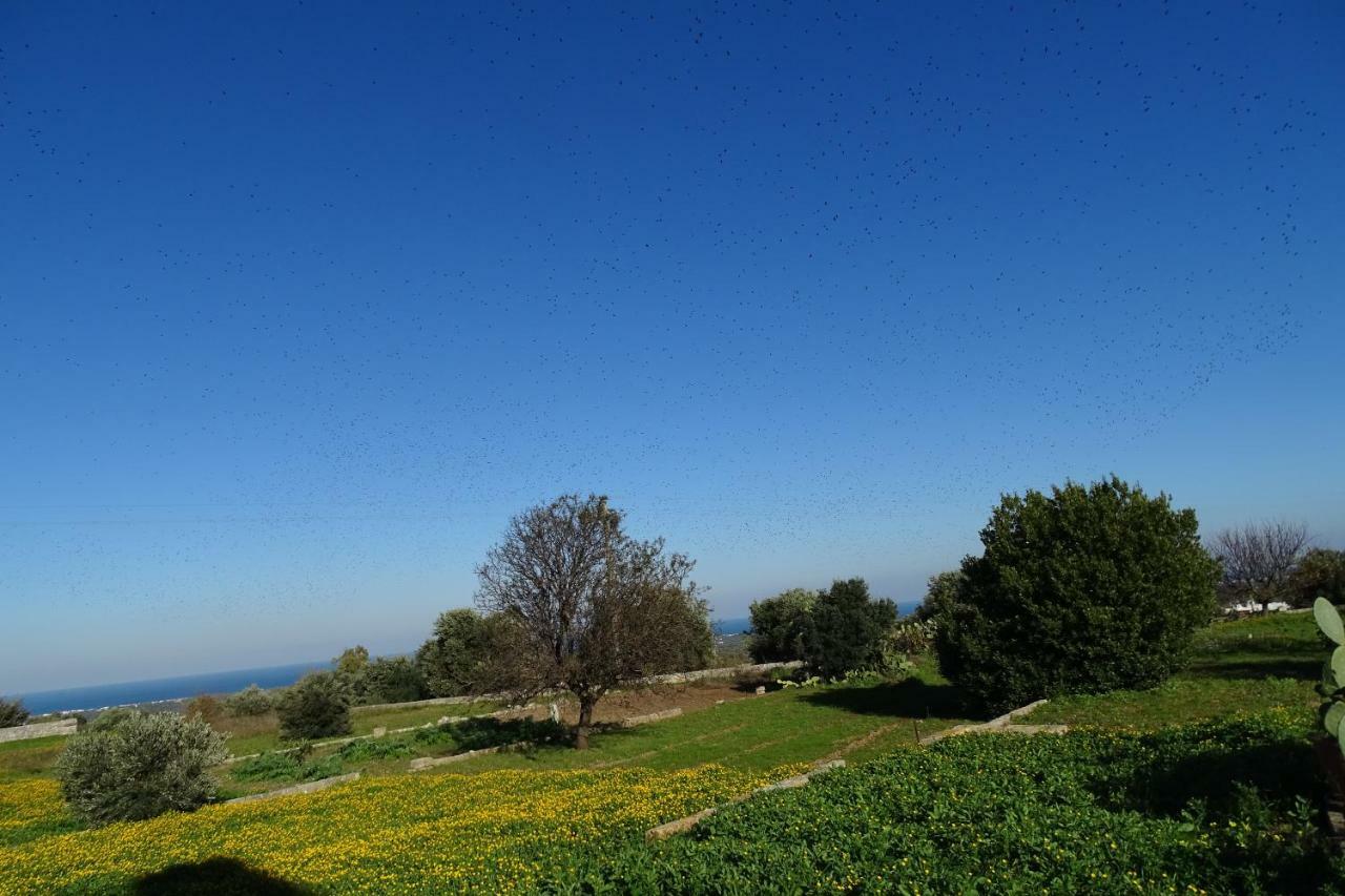Il Fico D'India Dell'Antico Orto Villa Ostuni Luaran gambar