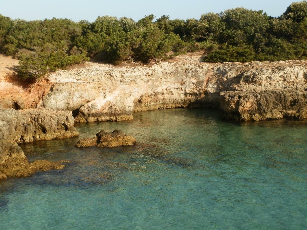 Il Fico D'India Dell'Antico Orto Villa Ostuni Luaran gambar