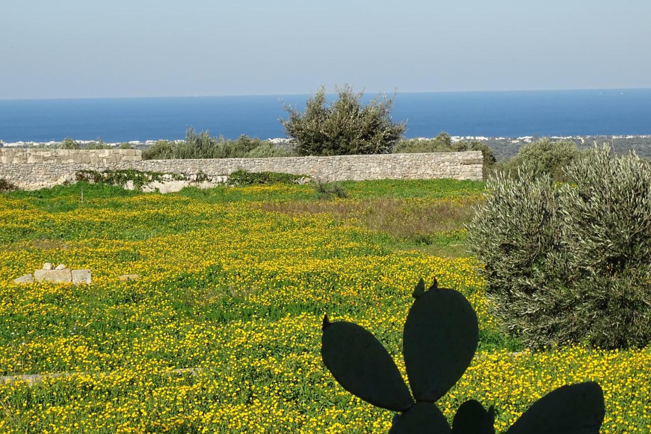 Il Fico D'India Dell'Antico Orto Villa Ostuni Luaran gambar