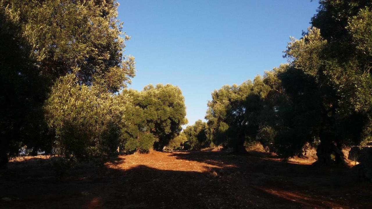 Il Fico D'India Dell'Antico Orto Villa Ostuni Luaran gambar