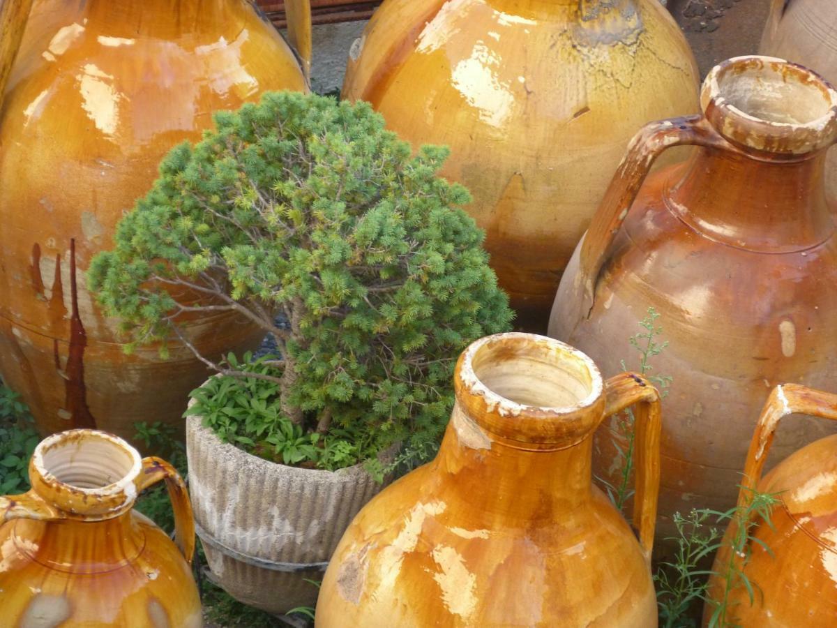 Il Fico D'India Dell'Antico Orto Villa Ostuni Luaran gambar