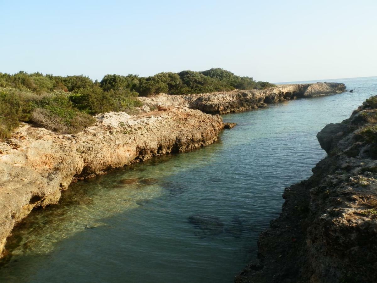 Il Fico D'India Dell'Antico Orto Villa Ostuni Luaran gambar